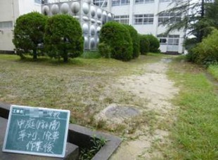 中庭除草、草刈作業後