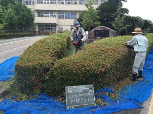 学校正面作業風景