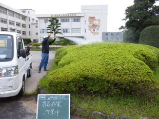 低木薬剤散布