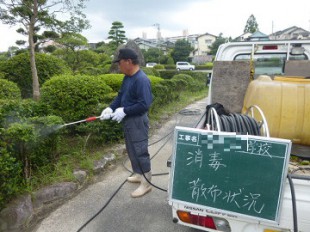 低木消毒散布状況