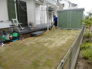 東区大岳　芝張り作業