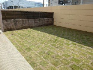 東区和白　マンション専用庭芝生張り作業