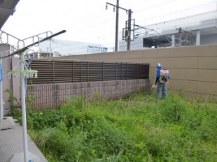 東区和白　マンション専用庭芝生張り作業