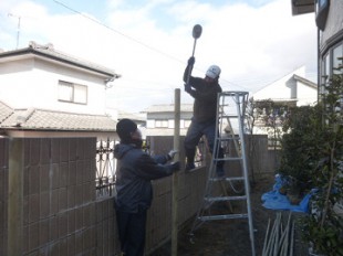 粕屋町志免　レッドロビン植え替え作業