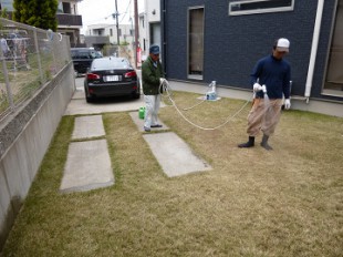 古賀市　芝生管理作業