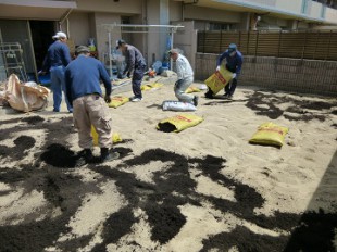 東区和白　マンション専用庭芝生張り作業