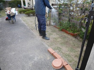 太宰府市　芝張り替え