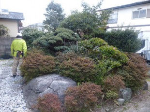 伐採、除石作業