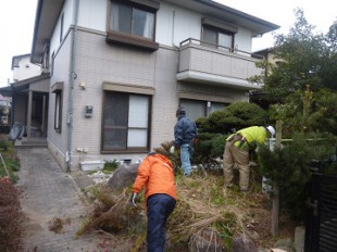 伐採、除石作業