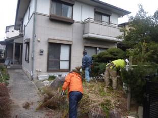 伐採、除石作業