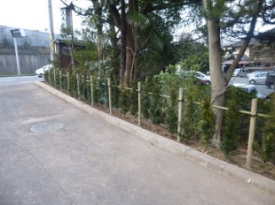 筑紫野市湯町　大丸別荘植込み