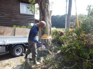 糟屋町須恵　伐採作業