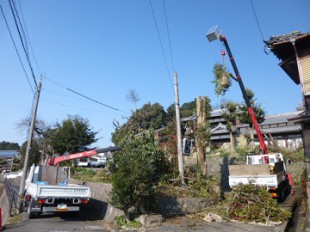 糟屋町須恵　伐採作業