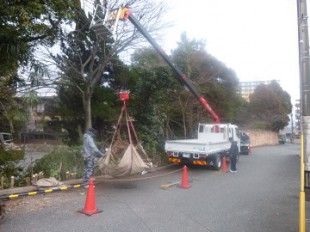 筑紫野市湯町　大丸別荘植込み