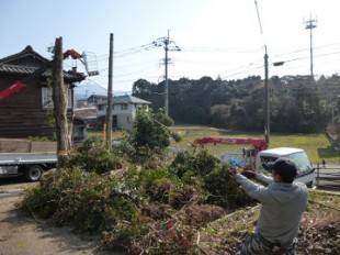 糟屋町須恵　伐採作業