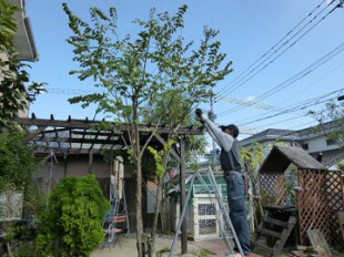 宮原福樹園　施工例