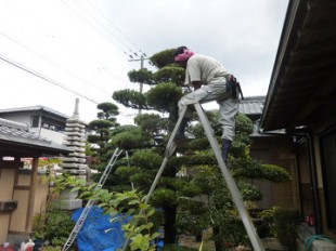 宮原福樹園施工例