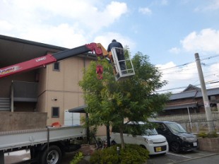 宮原福樹園施工例