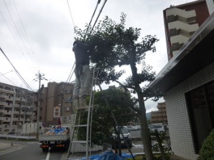 宮原福樹園施工例