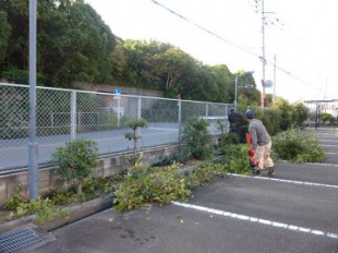 宮原福樹園施工例