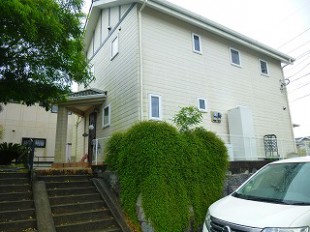 ワイヤープランツ伐採前