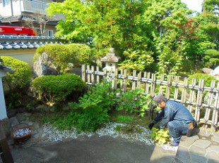 人力除草作業中