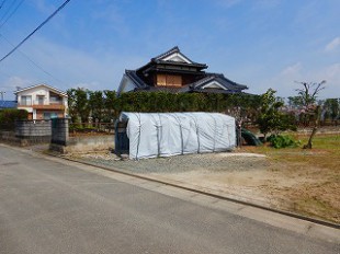 写真：剪定後