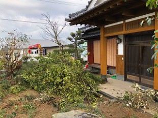 写真：剪定・伐採枝積み込み